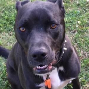 Meet your Posher, Jean